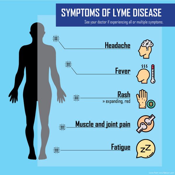 File:Figure 2. Common early symptoms of Lyme disease.jpg