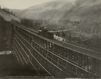 Stephen Joseph Thompson, Mountain Creek Bridge, containing 1,500,000 ft of Timber, C.P.R., [between 1886 and 1906] (UL_1446_0004)