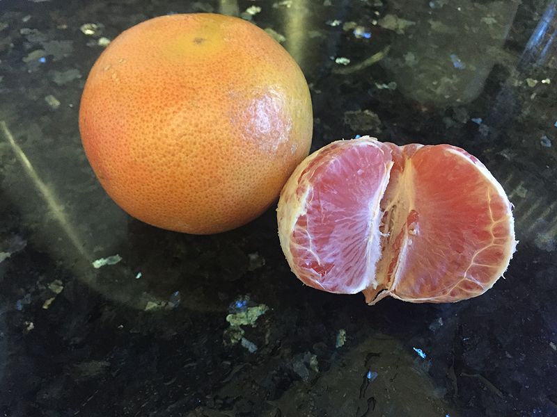 File:Grapefruit.JPG