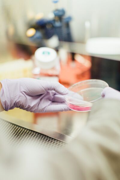 File:Scientist in a lab holding a Petri dish.jpg