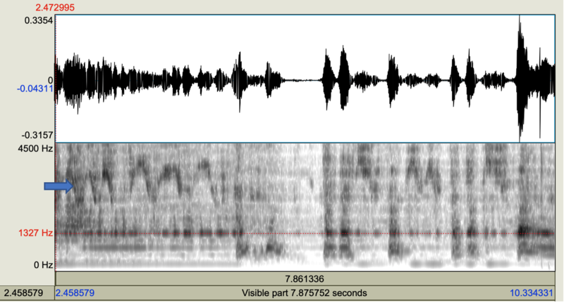 File:Didgeridoo waveform and spectrogram.png