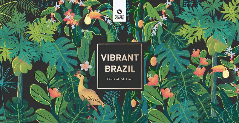 File:Vibrant Brazil.jpg