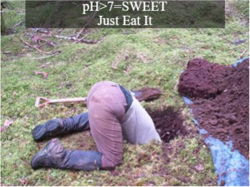 File:Soil meme- taste the soil.png