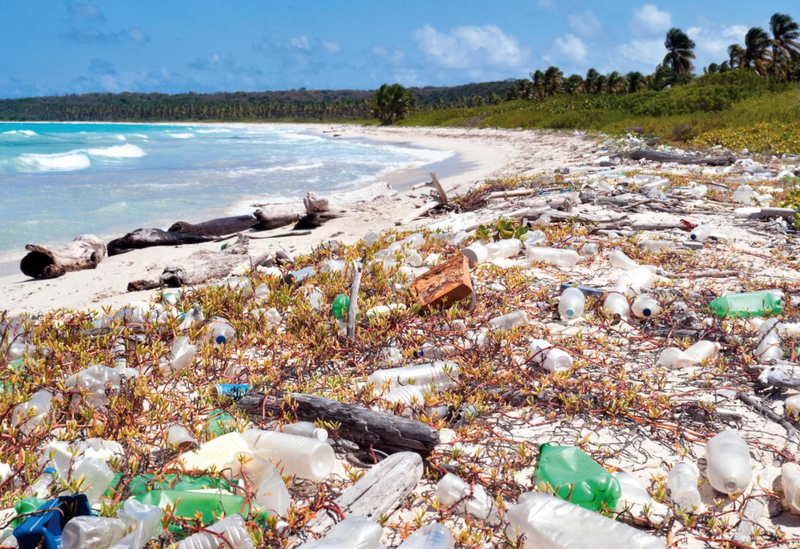 File:Beach pollution in the Caribbean.png