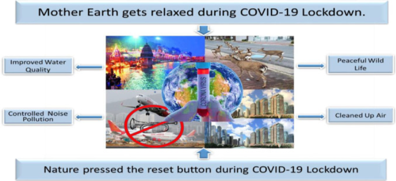 File:Covid effects.png