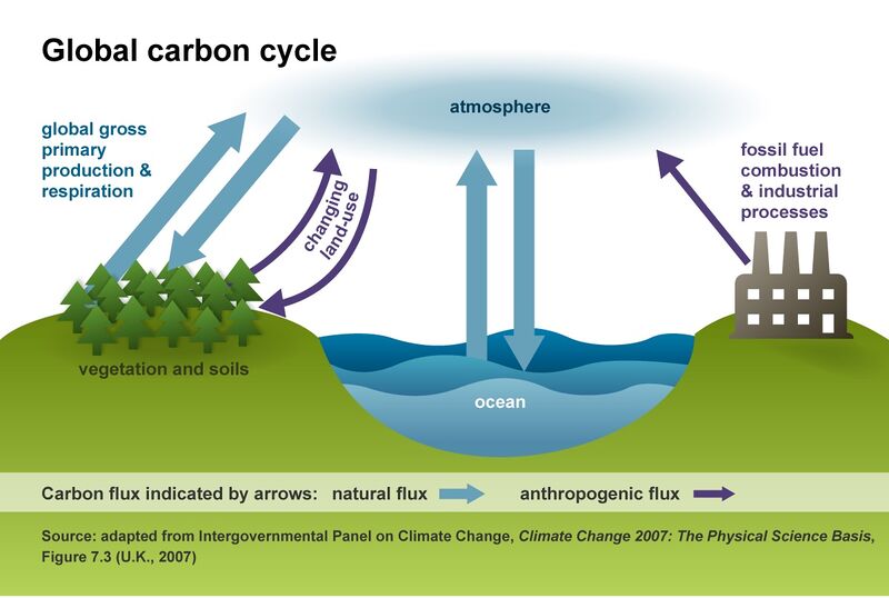 File:Fossil Fuels adding to Carbon Cycle.jpg