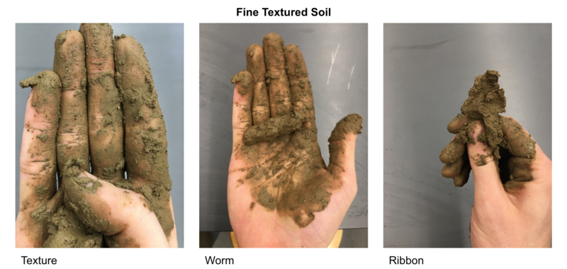 File:Fine textured soil.png