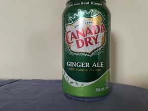 Course:FNH200/Assignments/2022/Canada Dry ginger ale Regular vs Diet - UBC  Wiki