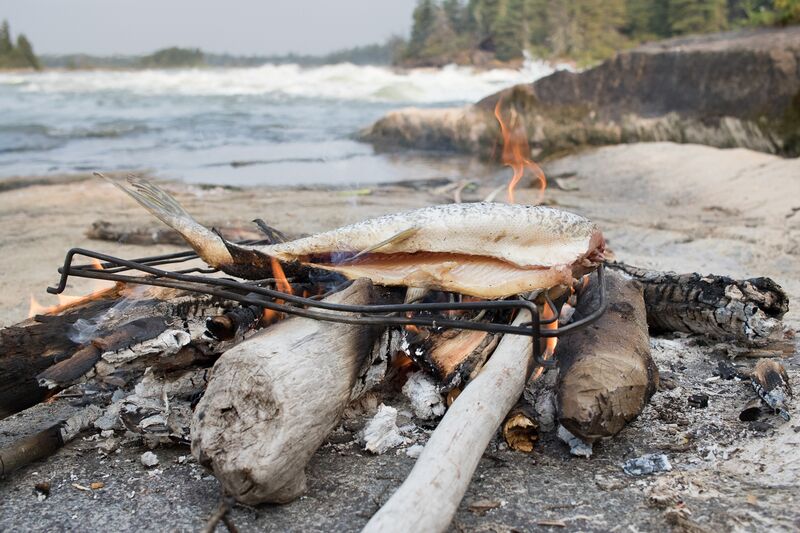 File:Northern Pike being Cooked at a Remote Campsite.jpg