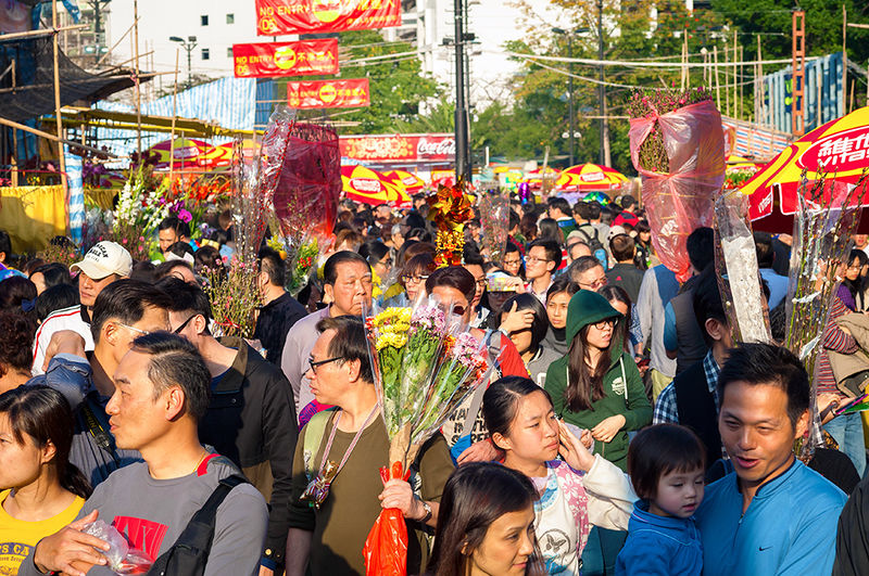 File:Hong Kong's New Year Flower Market.jpg