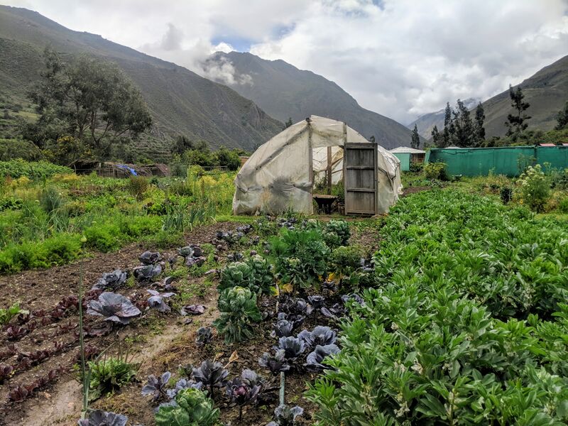 File:Agriculture in the Andes of Peru.jpg