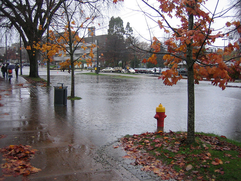 File:Rainy Day in UBC.jpeg