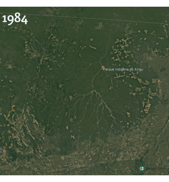 File:Encroachment of Intensive Agriculture on Xingu Reserve.gif