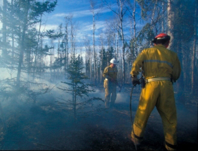 File:Fire management in Canada.png