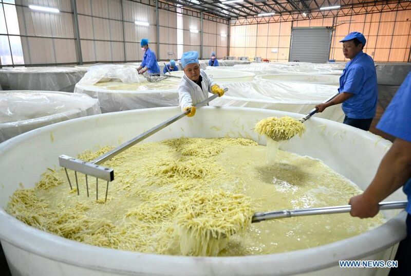 File:Fermentation process of bamboo shoots in factory.jpg