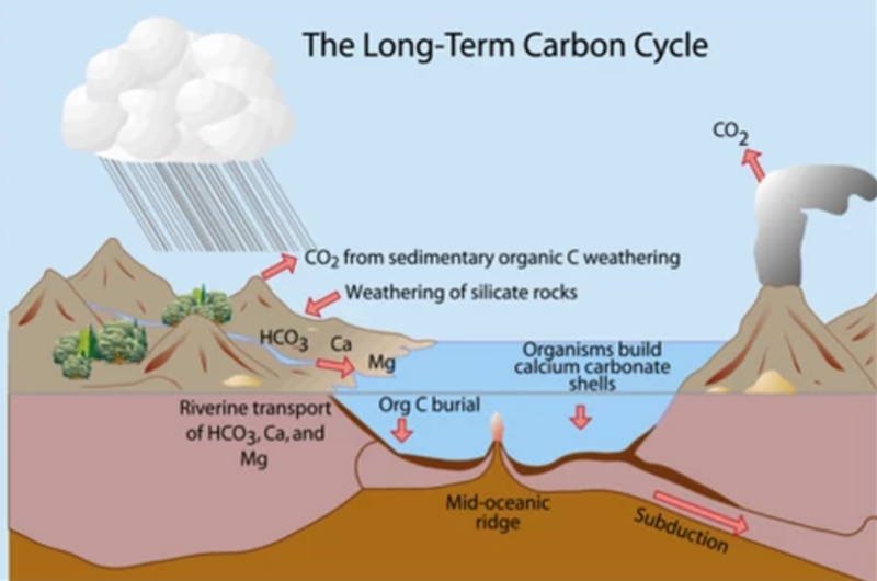 File:Figure 1 carbon as a resource.png