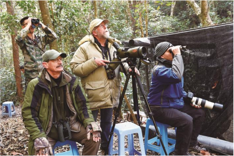 File:Tourists are watching wild birds in Ziyun village.png