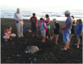 Tourists watching an Olive ridley sea turtle, accompanied by an ONWR guide.png