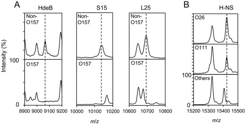 File:Figure 12. Typical mass spectra of four biomarker proteins in E. coli O157. Reprinted from (16).jpg