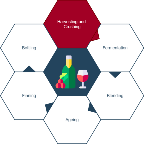 File:Wine Chart processes.png