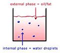 (B) Water in oil emulsion