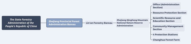 File:Forestry Administrative System.jpg