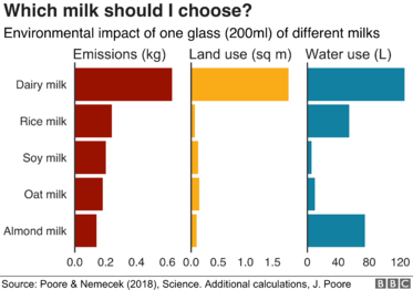 Soy vs Cow's Milk: Which is Better? - HealthXchange