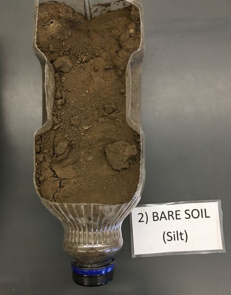 File:2 bare soil silt.jpg