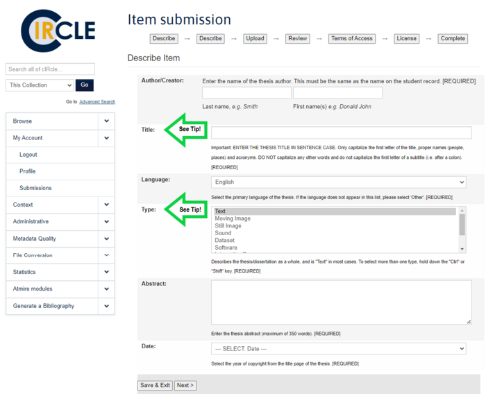 Describe Item page 1. Consult the tips that follow to complete the fields Title and Type.