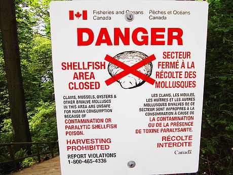 Wreck Beach contamination warning sign.jpg