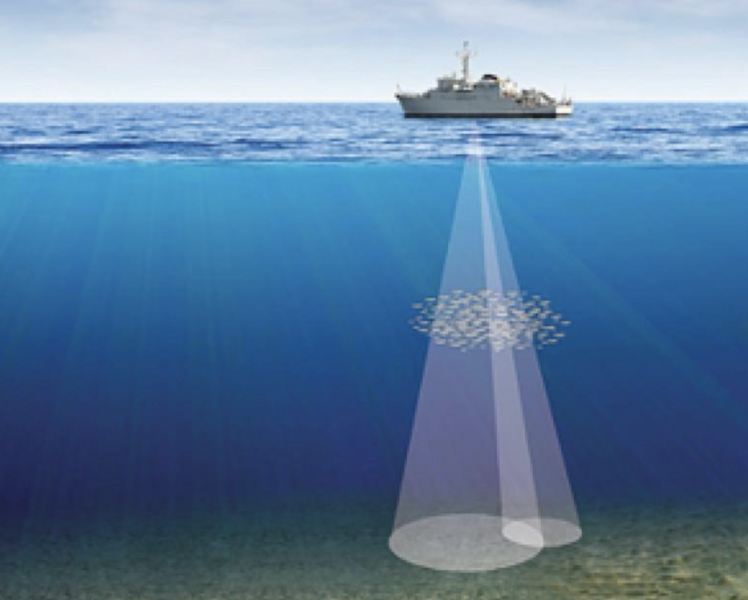 File:An illustration of an acoustic survey done in the ocean.png