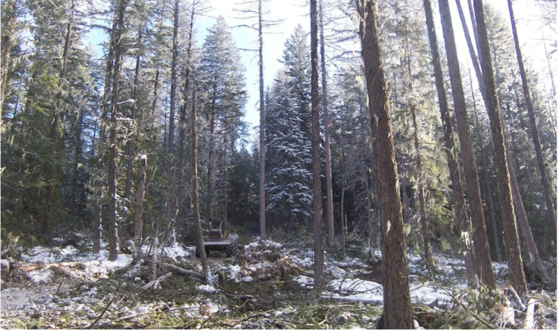 File:High-retention logging East Harrop Creek.png