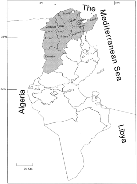 File:Tunisia's Map.gif