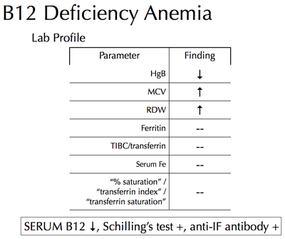 B12Deficiency Anemia