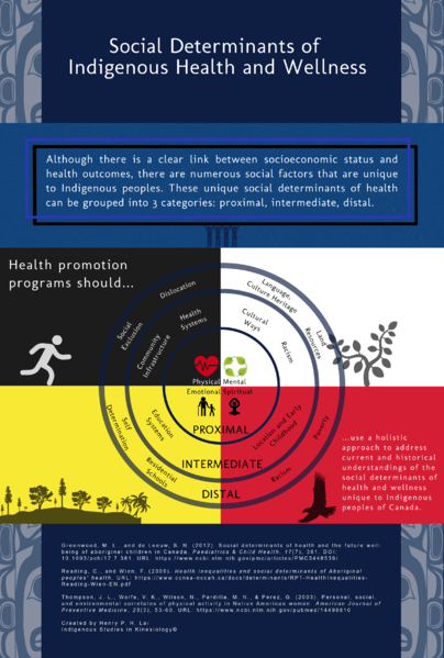 File:Social determinants of Indigenous health and wellness.png