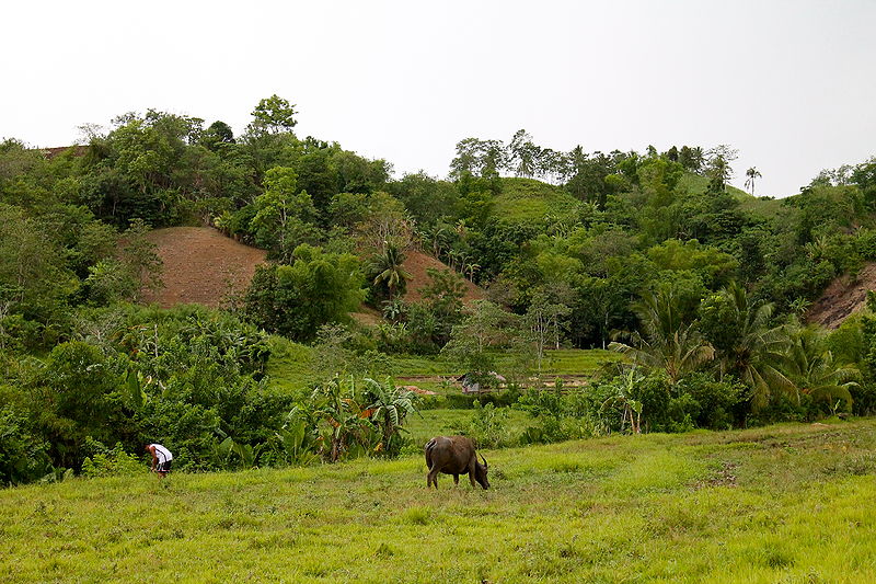 File:"Agroecological Farm Collective in the Philippines" (Photo by Amber Heckelman).JPG