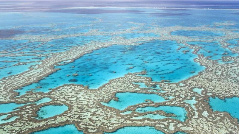 File:Birds eye view of the Great Barrier Reef in Modern Day.jpg