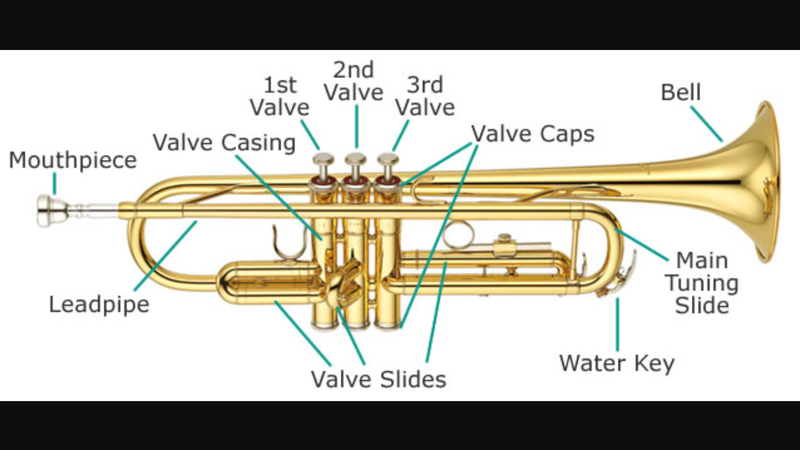 File:Labeled Trumpet.PNG