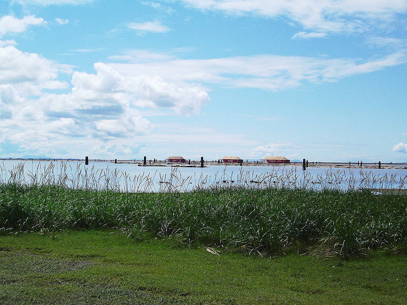 File:Logging containers at Wreck Beach.jpg