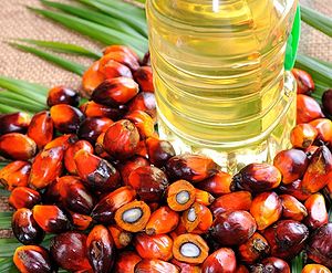 Palm Oil Mesocarp.jpg