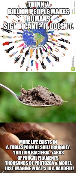File:Soil is Life.jpg